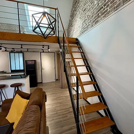 Appartement Loft 4 Pers Au Centre Netflix